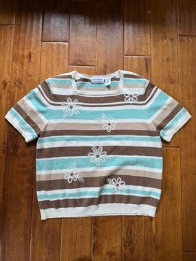 Striped Aqua & Brown Floral Appliqué Knit Top Petite XL cottagecore